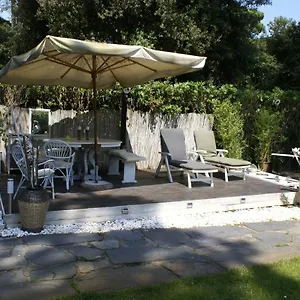  Apartment Domusauroom, Relax Nel Cuore Della Versilia - Pet Friendly