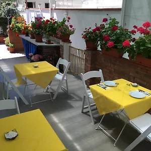 Rosa Dei Venti Viareggio